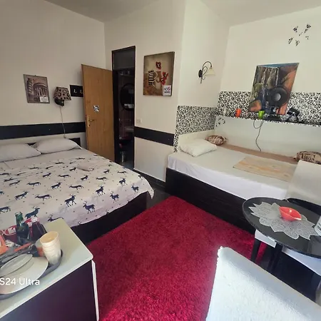 Apartamento Papagajka Colors *